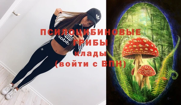 мет Медвежьегорск